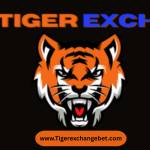 Tiger exchange Profile Picture