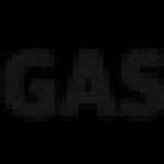 Friggas Techsol Profile Picture