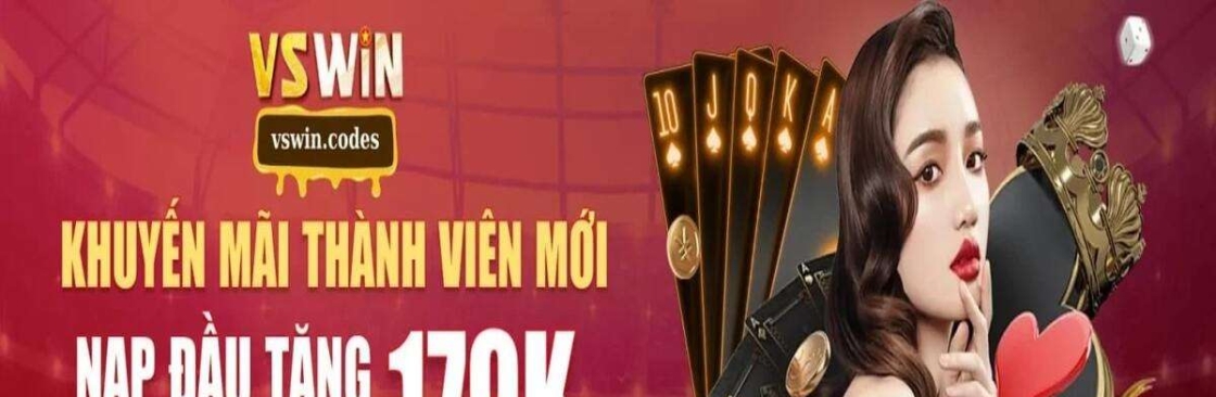 vswin codes Cover Image