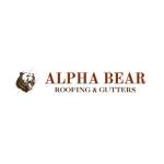 Alpha Bear Roofing and Gutters Profile Picture