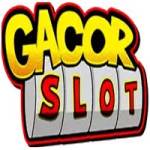 GACORSLOT SLOT Profile Picture