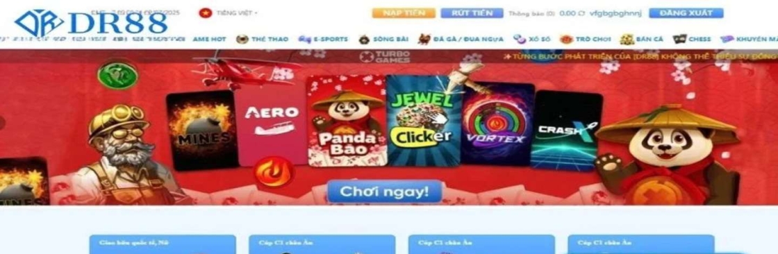 Dr88 Rocks Cover Image