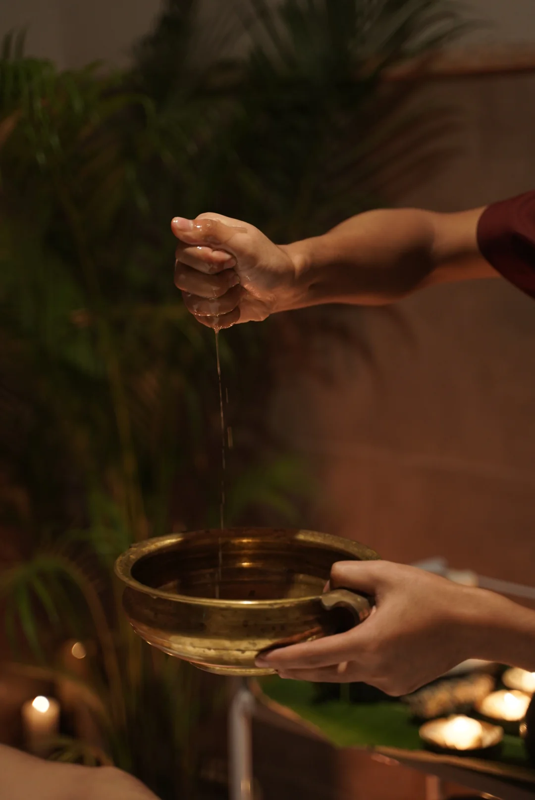 Panchakarma Therapy in Jaipur: Discover Healing at Omasra Wellness Centre