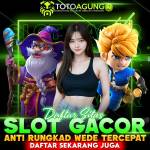 TOTOAGUNG2 OFFICIAL Profile Picture