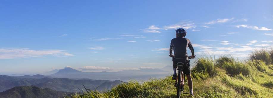 Lincoln Rule Cover Image