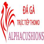 Đá Gà Trực Tiếp Thomo Profile Picture