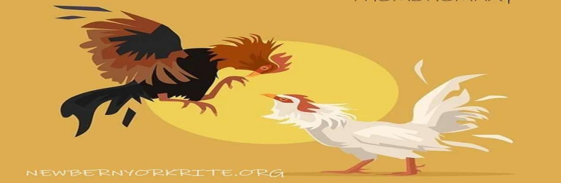 thomohomnay TRỰC TIẾP ĐÁ GÀ THOMO Cover Image