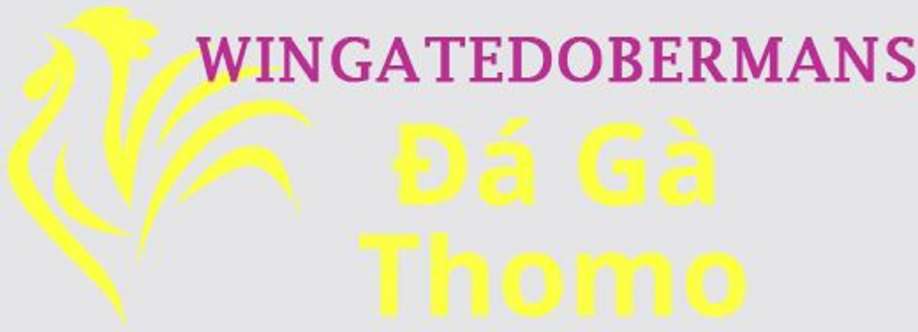 Đá Gà Trực Tiếp Thomo Cover Image