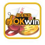 okwin band Profile Picture