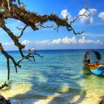 Andaman Tour Packages Profile Picture