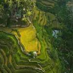 swati gaddam Profile Picture