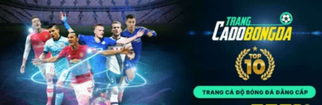 Trangcadobongda7777 Org Cover Image