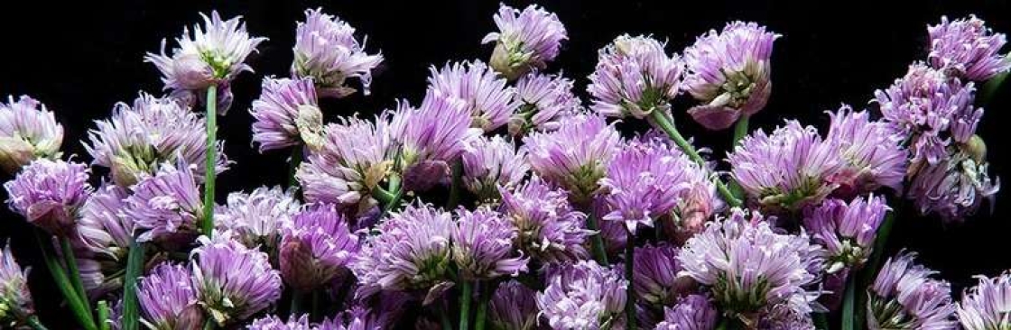 Flower Smart Cover Image