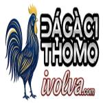 ĐÁ GÀ C1TRỰC TIẾP ĐÁ GÀ THOMO XEM MIỄN PHÍ Profile Picture