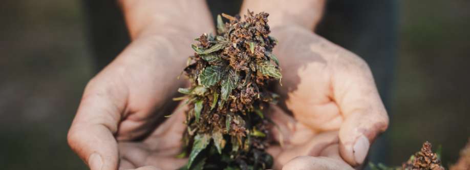 FireHouseDC Cover Image