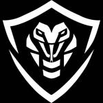 Black Cobra VPN Profile Picture