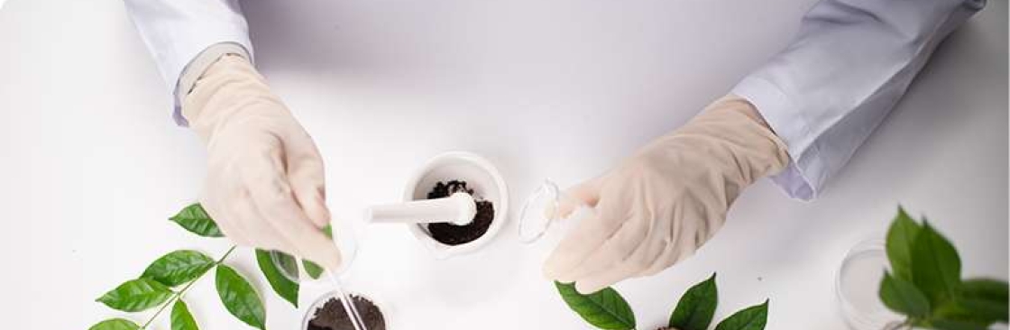 Innate Integrative Medcine Cover Image