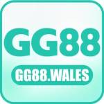 gg88 wales Profile Picture