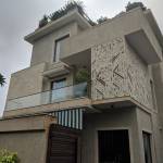 Stone World Profile Picture