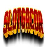 Slot Thailand Profile Picture