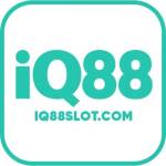 IQ88 com Profile Picture
