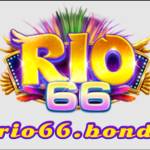 Rio 66 Profile Picture