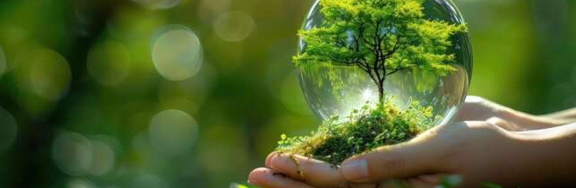 Alpin Limited Cover Image