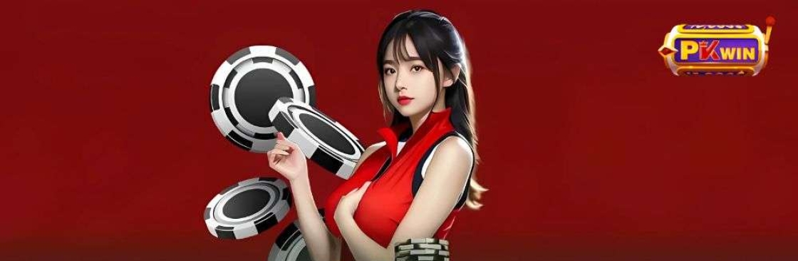 PKWIN NET Cover Image