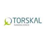Torskal Nanoscience Profile Picture