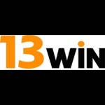 13WIN Profile Picture