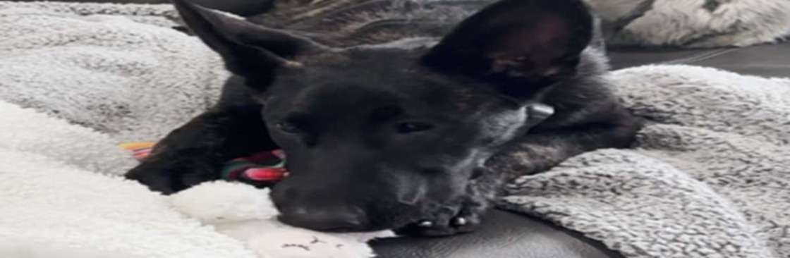 Justice for Leia Cover Image