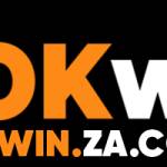 OKWIN ZACOM Profile Picture