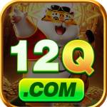 12q bet Profile Picture