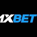 1XBET VNBET Profile Picture