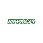 bty9234 net Profile Picture
