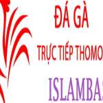 Đá Gà Trực Tiếp Thomo Profile Picture