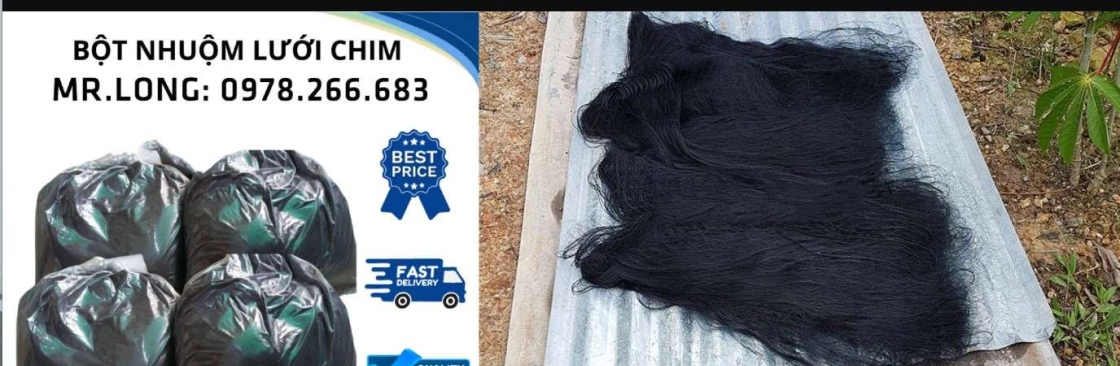 Luoibaychim Vn Cover Image