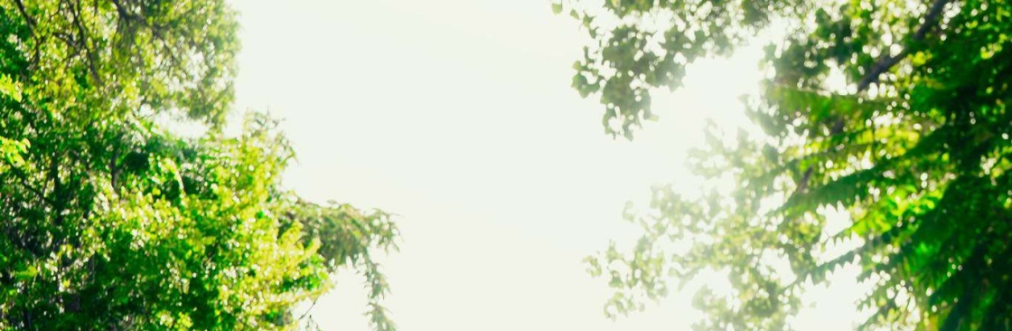 Wraps Redefined Cover Image