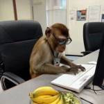 Selera Padang Profile Picture