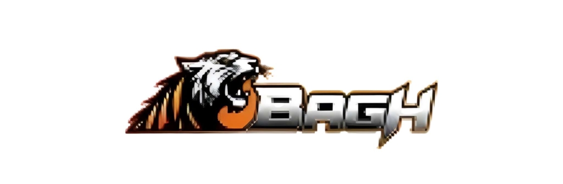 Bagh Live Cover Image