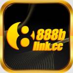 888b linkcc Profile Picture