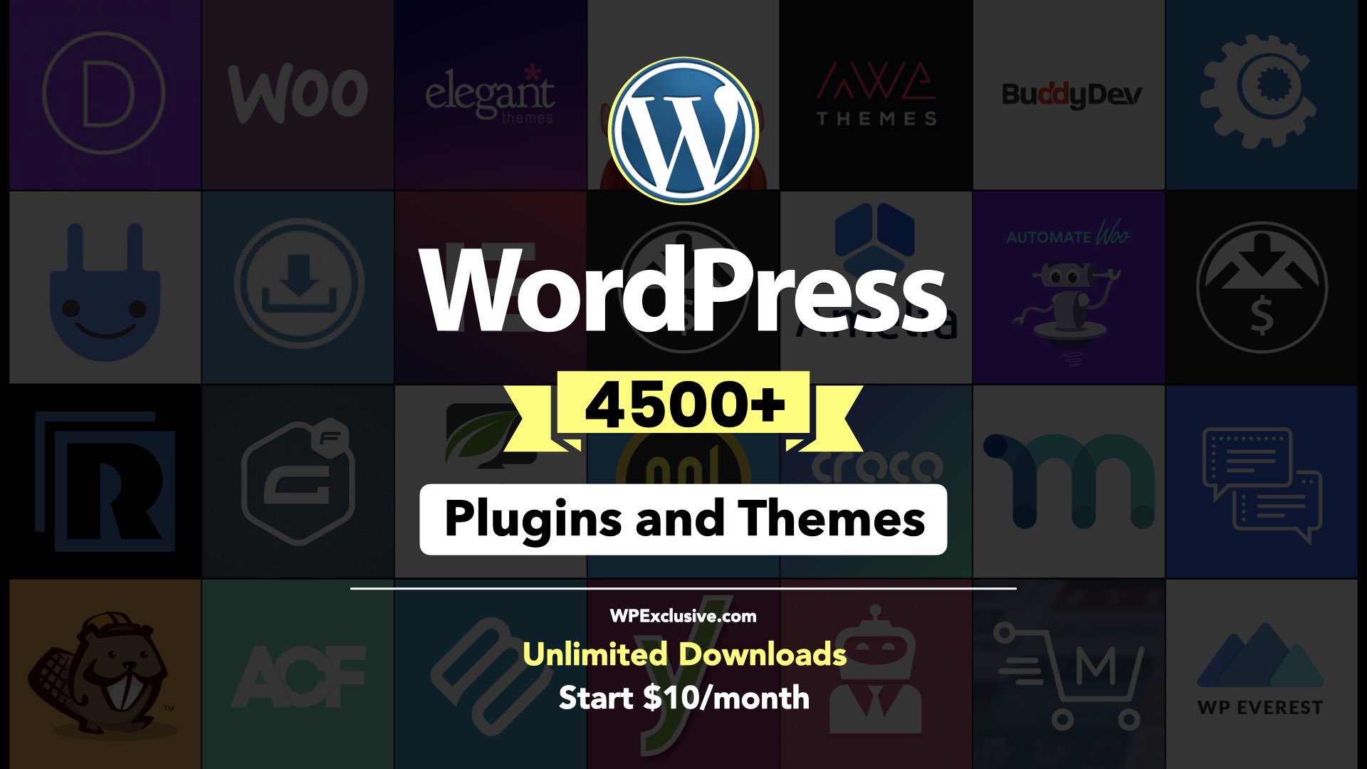 WordPress Plugins and Themes