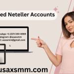 Roys Damico Profile Picture