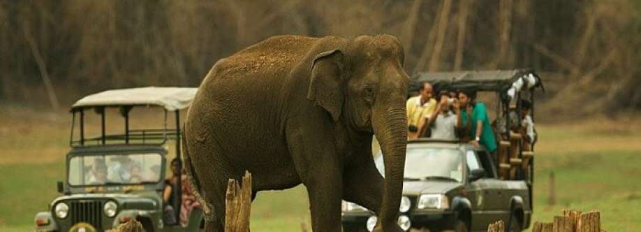 Resorts in Coorg Cover Image