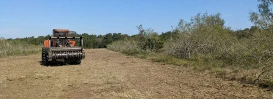 Jackson Ville Land Clearing Cover Image