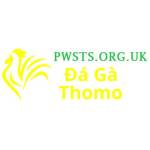 Đá Gà Trực Tiếp Thomo Profile Picture