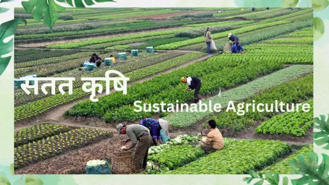 राष्ट्रीय सतत कृषि मिशन, (National Mission for sustainable Agriculture) भारत में जलवायु-सहिष्णु खेती की ओर
