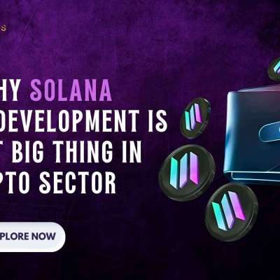 How Solana Wallet Development Empowers Next-Gen Blockchain Businesses Profile Picture