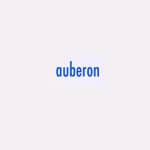Auberon Technology Pte Ltd Profile Picture