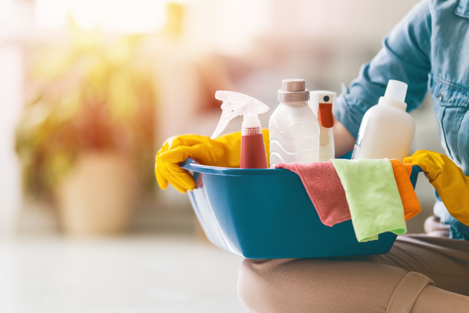 How Can I Keep My Los Angeles Apartment Clean During Allergy Season?